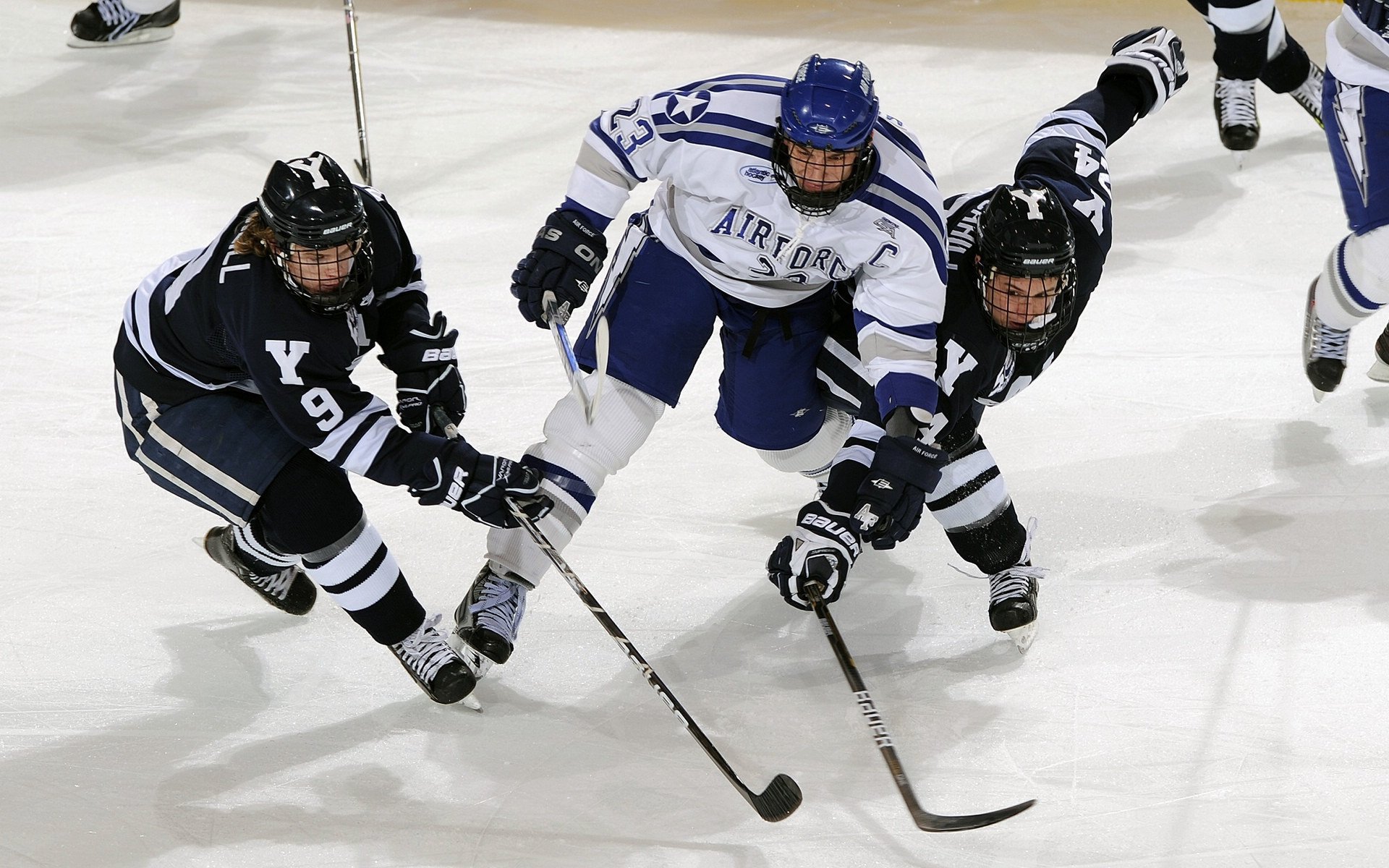 体育新闻中心训练计划解析，体育新闻报道新闻稿